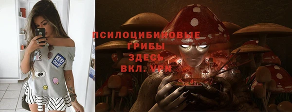 ALPHA PVP Алексин