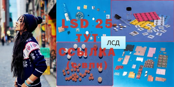 мяу мяу мука Абаза